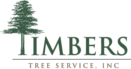 Timbers-Tree-Service-Color